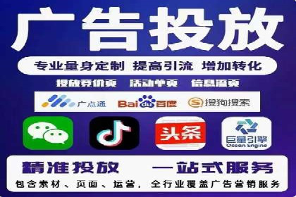 网络推广与竞价优化成功案例